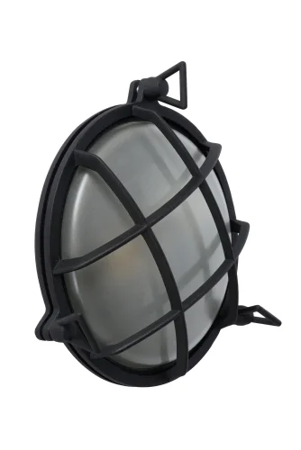 Настенный светильник Dudley 11890/25/30 Lucide уличный IP65 чёрный 1 лампа, плафон белый в стиле винтаж современный E27 фото 2